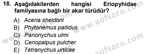 Entomoloji Dersi 2012 - 2013 Yılı (Final) Dönem Sonu Sınav Soruları 18. Soru