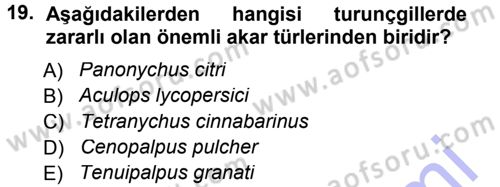 Entomoloji Dersi 2012 - 2013 Yılı (Final) Dönem Sonu Sınav Soruları 19. Soru