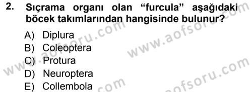 Entomoloji Dersi 2012 - 2013 Yılı (Final) Dönem Sonu Sınav Soruları 2. Soru