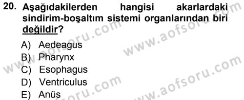 Entomoloji Dersi 2012 - 2013 Yılı (Final) Dönem Sonu Sınav Soruları 20. Soru