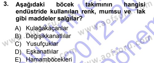 Entomoloji Dersi 2012 - 2013 Yılı (Final) Dönem Sonu Sınav Soruları 3. Soru