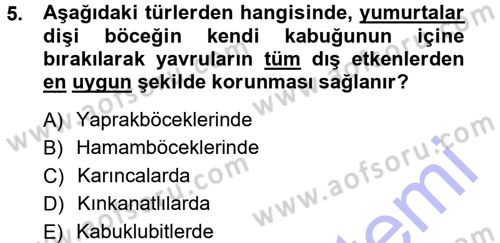 Entomoloji Dersi 2012 - 2013 Yılı (Final) Dönem Sonu Sınav Soruları 5. Soru