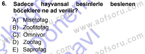 Entomoloji Dersi 2012 - 2013 Yılı (Final) Dönem Sonu Sınav Soruları 6. Soru