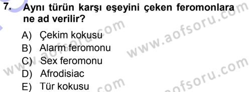 Entomoloji Dersi 2012 - 2013 Yılı (Final) Dönem Sonu Sınav Soruları 7. Soru