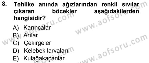 Entomoloji Dersi 2012 - 2013 Yılı (Final) Dönem Sonu Sınav Soruları 8. Soru