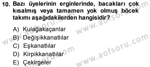 Entomoloji Dersi Ara Sınavı Deneme Sınav Soruları 10. Soru