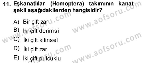 Entomoloji Dersi Ara Sınavı Deneme Sınav Soruları 11. Soru