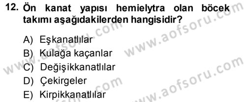 Entomoloji Dersi 2013 - 2014 Yılı (Vize) Ara Sınav Soruları 12. Soru