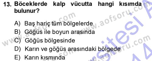 Entomoloji Dersi Ara Sınavı Deneme Sınav Soruları 13. Soru