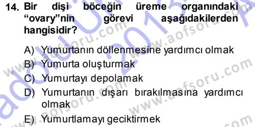 Entomoloji Dersi 2013 - 2014 Yılı (Vize) Ara Sınav Soruları 14. Soru