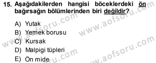 Entomoloji Dersi 2013 - 2014 Yılı (Vize) Ara Sınav Soruları 15. Soru