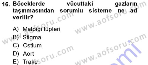 Entomoloji Dersi Ara Sınavı Deneme Sınav Soruları 16. Soru