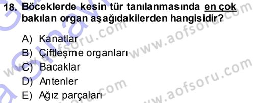 Entomoloji Dersi 2013 - 2014 Yılı (Vize) Ara Sınav Soruları 18. Soru