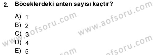 Entomoloji Dersi 2013 - 2014 Yılı (Vize) Ara Sınav Soruları 2. Soru