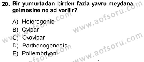Entomoloji Dersi 2013 - 2014 Yılı (Vize) Ara Sınav Soruları 20. Soru