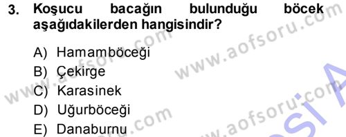 Entomoloji Dersi 2013 - 2014 Yılı (Vize) Ara Sınav Soruları 3. Soru