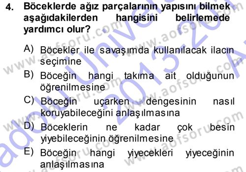 Entomoloji Dersi Ara Sınavı Deneme Sınav Soruları 4. Soru