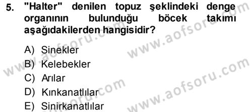 Entomoloji Dersi 2013 - 2014 Yılı (Vize) Ara Sınav Soruları 5. Soru