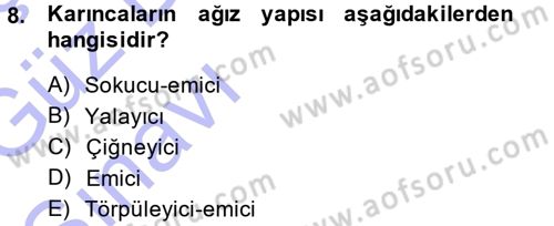 Entomoloji Dersi 2013 - 2014 Yılı (Vize) Ara Sınav Soruları 8. Soru