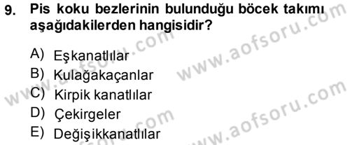 Entomoloji Dersi Ara Sınavı Deneme Sınav Soruları 9. Soru