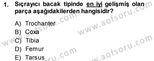 Entomoloji Dersi 2013 - 2014 Yılı (Final) Dönem Sonu Sınav Soruları 1. Soru