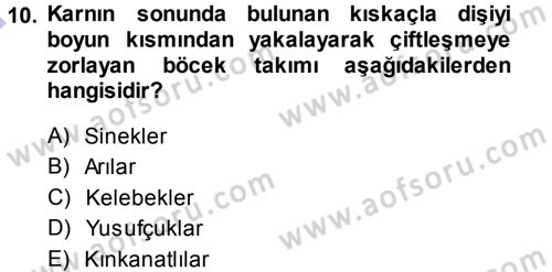 Entomoloji Dersi 2013 - 2014 Yılı (Final) Dönem Sonu Sınav Soruları 10. Soru