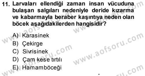 Entomoloji Dersi 2013 - 2014 Yılı (Final) Dönem Sonu Sınav Soruları 11. Soru