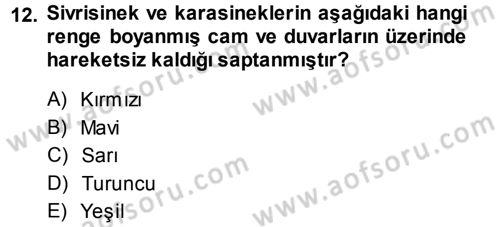 Entomoloji Dersi 2013 - 2014 Yılı (Final) Dönem Sonu Sınav Soruları 12. Soru