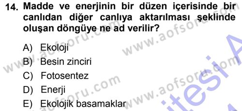 Entomoloji Dersi 2013 - 2014 Yılı (Final) Dönem Sonu Sınav Soruları 14. Soru