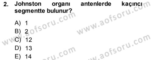 Entomoloji Dersi 2013 - 2014 Yılı (Final) Dönem Sonu Sınav Soruları 2. Soru