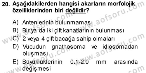 Entomoloji Dersi 2013 - 2014 Yılı (Final) Dönem Sonu Sınav Soruları 20. Soru