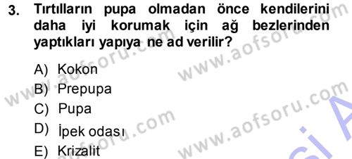 Entomoloji Dersi 2013 - 2014 Yılı (Final) Dönem Sonu Sınav Soruları 3. Soru