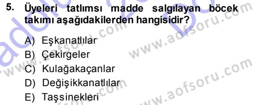 Entomoloji Dersi 2013 - 2014 Yılı (Final) Dönem Sonu Sınav Soruları 5. Soru