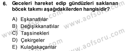 Entomoloji Dersi 2013 - 2014 Yılı (Final) Dönem Sonu Sınav Soruları 6. Soru