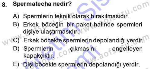 Entomoloji Dersi 2013 - 2014 Yılı (Final) Dönem Sonu Sınav Soruları 8. Soru