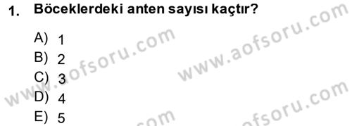 Entomoloji Dersi 2013 - 2014 Yılı Tek Ders Sınav Soruları 1. Soru