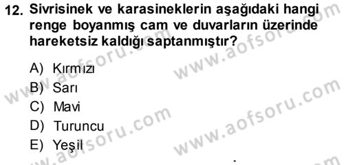 Entomoloji Dersi 2013 - 2014 Yılı Tek Ders Sınav Soruları 12. Soru