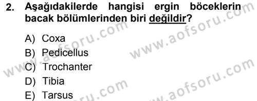 Entomoloji Dersi 2013 - 2014 Yılı Tek Ders Sınav Soruları 2. Soru