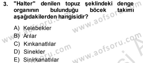 Entomoloji Dersi 2013 - 2014 Yılı Tek Ders Sınav Soruları 3. Soru