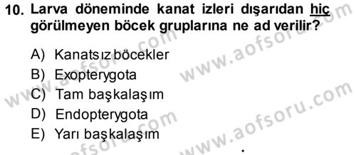 Entomoloji Dersi Ara Sınavı Deneme Sınav Soruları 10. Soru