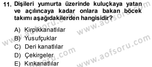 Entomoloji Dersi 2014 - 2015 Yılı (Vize) Ara Sınav Soruları 11. Soru