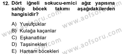 Entomoloji Dersi Ara Sınavı Deneme Sınav Soruları 12. Soru