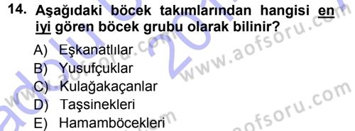 Entomoloji Dersi Ara Sınavı Deneme Sınav Soruları 14. Soru
