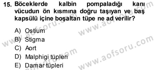 Entomoloji Dersi 2014 - 2015 Yılı (Vize) Ara Sınav Soruları 15. Soru
