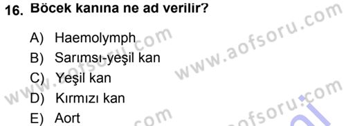 Entomoloji Dersi 2014 - 2015 Yılı (Vize) Ara Sınav Soruları 16. Soru