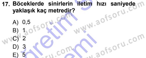 Entomoloji Dersi Ara Sınavı Deneme Sınav Soruları 17. Soru