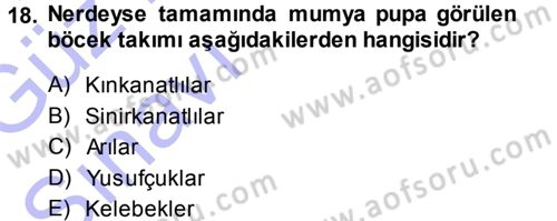 Entomoloji Dersi Ara Sınavı Deneme Sınav Soruları 18. Soru
