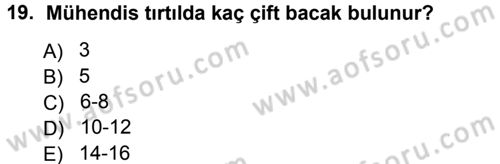 Entomoloji Dersi Ara Sınavı Deneme Sınav Soruları 19. Soru
