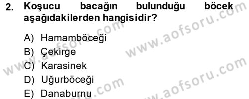 Entomoloji Dersi Ara Sınavı Deneme Sınav Soruları 2. Soru