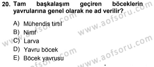 Entomoloji Dersi 2014 - 2015 Yılı (Vize) Ara Sınav Soruları 20. Soru